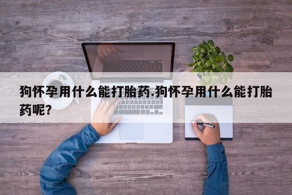 买流产药的微信联系方式狗怀孕用什么能打胎药.狗怀孕用什么能打胎药呢？