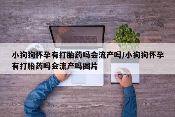 买流产药的微信联系方式小狗狗怀孕有打胎药吗会流产吗/小狗狗怀孕有打胎药吗会流产吗图片