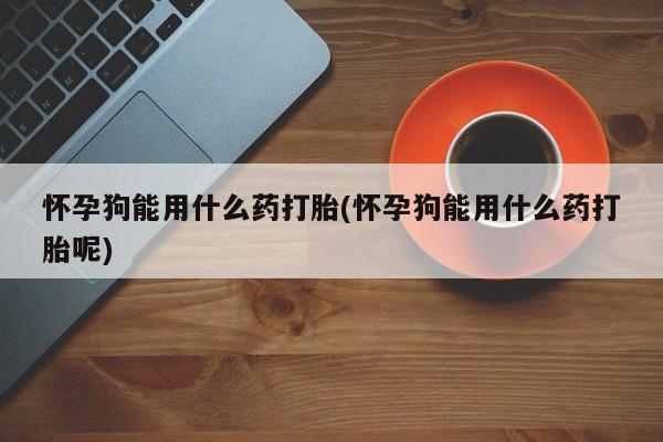 买流产药的微信联系方式怀孕狗能用什么药打胎(怀孕狗能用什么药打胎呢)